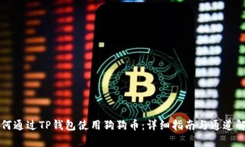 如何通过TP钱包使用狗狗币：详细指南与通道解析