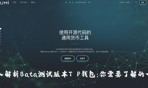 深入解析Bata测试版本T P钱包：你需要了解的一切