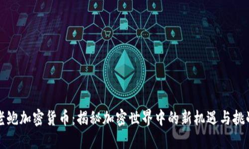 老鲍加密货币：揭秘加密世界中的新机遇与挑战