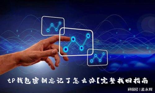 tP钱包密钥忘记了怎么办？完整找回指南
