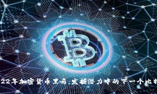 2022年加密货币黑马：发掘潜力中的下一个比特币