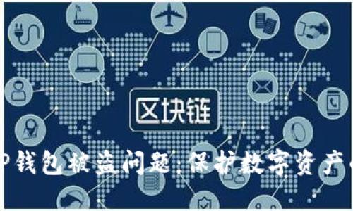如何应对TP钱包被盗问题：保护数字资产的全面指南