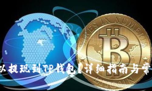  如何将欧以提现到TP钱包？详细指南与常见问题解析