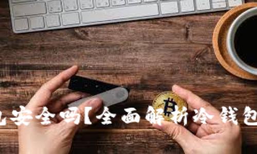  TP钱包创建的冷钱包安全吗？全面解析冷钱包的安全性与使用技巧