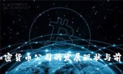 智利加密货币公司的发展