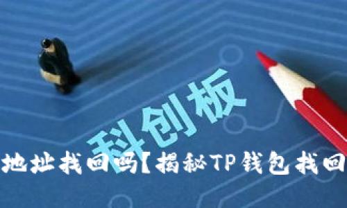 TP钱包可以通过地址找回吗？揭秘TP钱包找回方法与安全策略