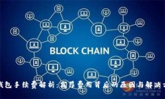 TP钱包手续费解析：高昂费