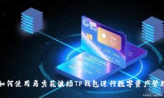 如何使用马秀花波场TP钱包