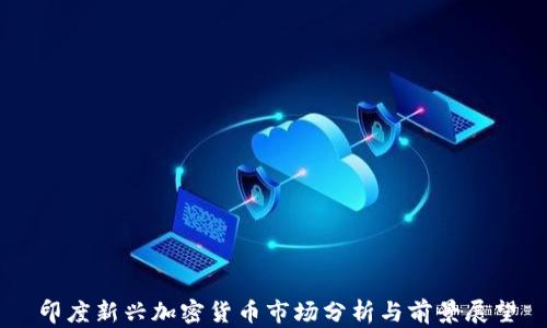 
印度新兴加密货币市场分析与前景展望